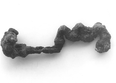 fibula tipo Montedinove